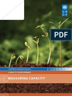 UNDP Measuring Capacity July 2010