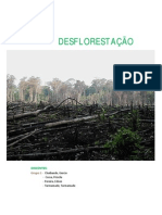 Desflorestaçao Final