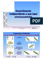 11 Assortimento Indipendente e Sue Basi Cromosomiche genetica agraria uniss