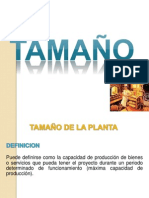 TAMAÑO - PAN INTEGRAL - AREGLADO