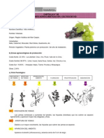 Condiciones Agroclimáticas - Vid