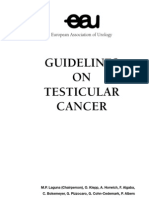 Testicular Cancer