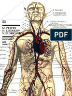 Anatomia Humana Tomo2 Archivo1