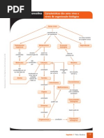 Mapa Conceitos Bio