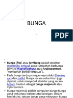 Presentation1.Ppt Struktur Bunga