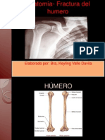 Anatomia y Fractura Humero