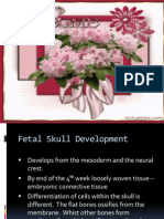 Download Fetal Skull and Circulation Ppt by Resmi Vr SN110664705 doc pdf