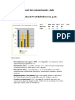 Diagnostic Intercultural Romania - Italia