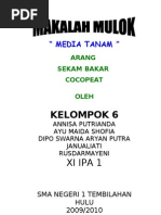 Download Makalah Media Tanam by herfa_lia SN110667777 doc pdf