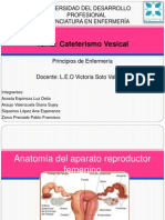 Cateterismo Vesical g
