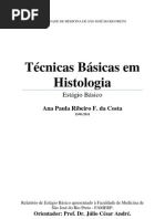 Estágio Básico corrigido