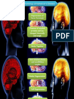 Alzheimer Pathophysiology