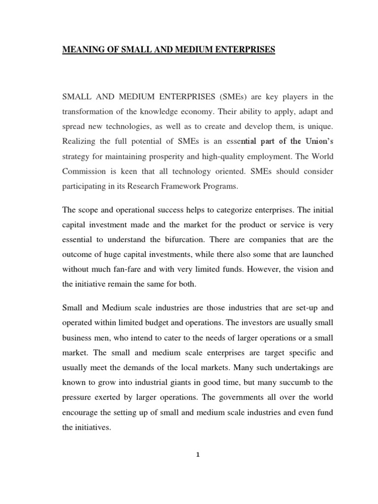 Meaning of Small and Medium Enterprises | PDF | Small And Medium Sized ...