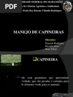 Manejo de Capineiras