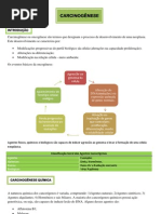 Download CARCINOGNESE - Resumo by Julyanne Goes SN110765762 doc pdf