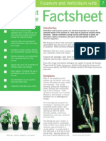 Fusarium and Verticillium Wilts