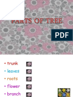 Part of Tree