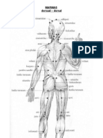 Ayurvedic urine analysis guide