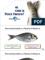 Guida: Riconoscere Il Pesce Fresco