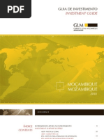 Guia de Investimento Em Mocambique