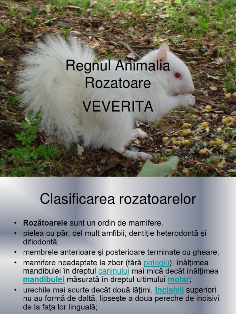 VEVERITA | PDF