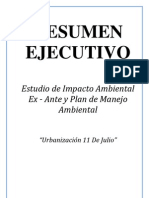 Resumen Ejecutivo: Estudio de Impacto Ambiental Ex - Ante y Plan de Manejo Ambiental