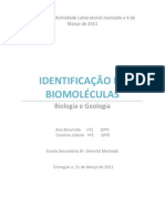 Biologia - Relatório Identificação Biomoléculas