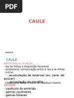 Aula9 OCaule Prova 07.06