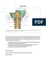 BRAIN STEM- Case Stroke- Part 1