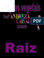 Órgãos vegetais- Carlos Barros