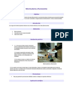 Bola de Plasma y Fluorescentes