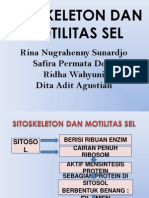 Presentasi Sitoskeleton