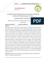 SACCHARIFICATION WITH Phanerochaete Chrysosporium and ETHANOL PRODUCTION WITH Saccharomyces Cerevisiae