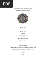 Download Glukosa Darah by Chimcim SN111001610 doc pdf