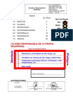 300-40800-PSIA-052 Armado y Desarmado de Andamios