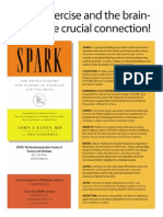 Spark Flyer