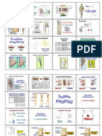 Anatomia y Biomecanica Articulaciones Diana en Hemofilicos. Dr. Villaplana ( INFOHEMO 2012) 24.10.12