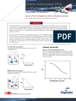 Pge 2 Rhoda Mine Abstract