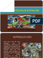 Animales en Vía de Extinción