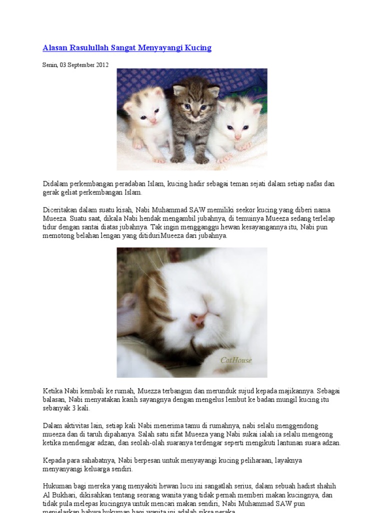 Alasan Rasulullah Sangat Menyayangi Kucing  PDF