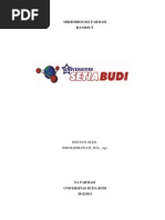 Download Handout Mikrofarmasi Ismi by Bintang L Adi SN111102448 doc pdf