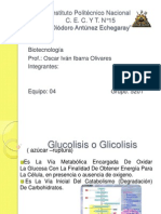 Glucolisis o Glicolisis