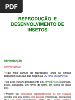 REPRODUÇÃO  E DESENVOLVIMENTO DE INSETOS