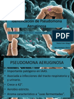 Identificación de Pseudomona Aeruginosa