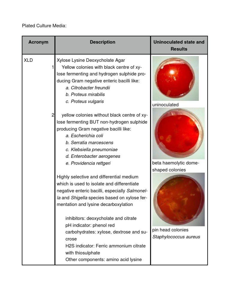 Culture Media Growth Medium Microbiology