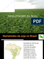 NEMATÓIDES DA SOJA Agro Nematologia