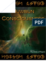 Nuwbun Consciousness