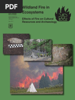 Download Effects of Fire on Cultural Resources and Archeology by Joint Fire Science Program SN111169160 doc pdf
