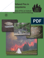 Effects of Fire On Cultural Resources and Archeology
