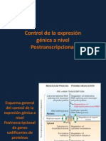 9 - Regulacion de La Expresion Genica en Eucariotas (Parte 2)